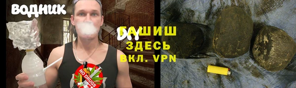 твердый Новозыбков