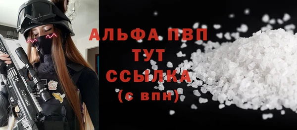 прущие грибы Алзамай