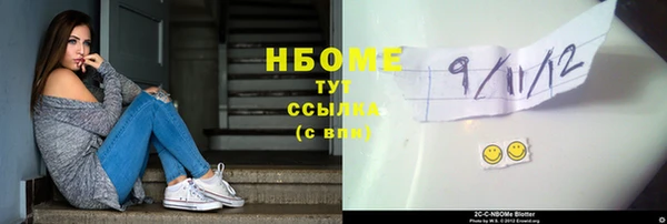 прущие грибы Алзамай