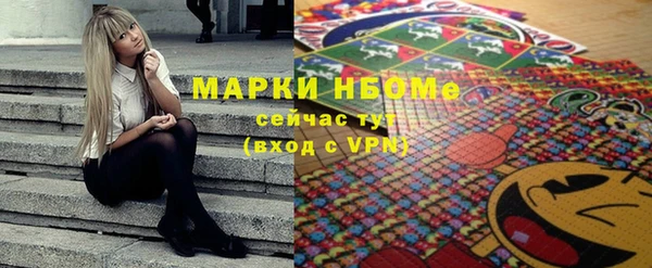 твердый Новозыбков