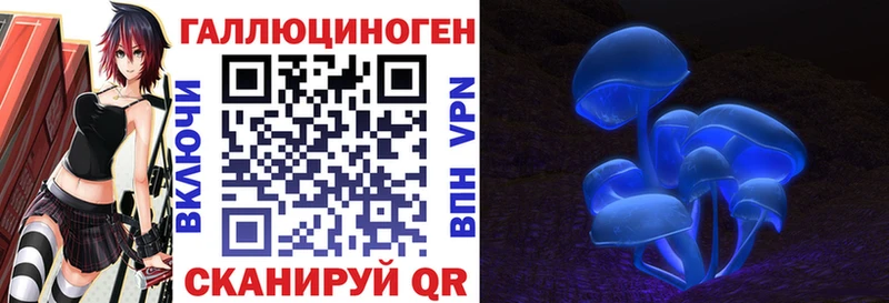 наркота  Чебоксары  Псилоцибиновые грибы Psilocybine cubensis 